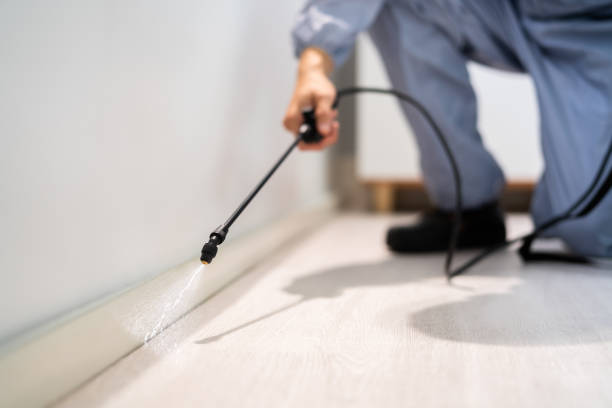 Licensed Termite Control service in Visalia, CA - Nex Pest Control