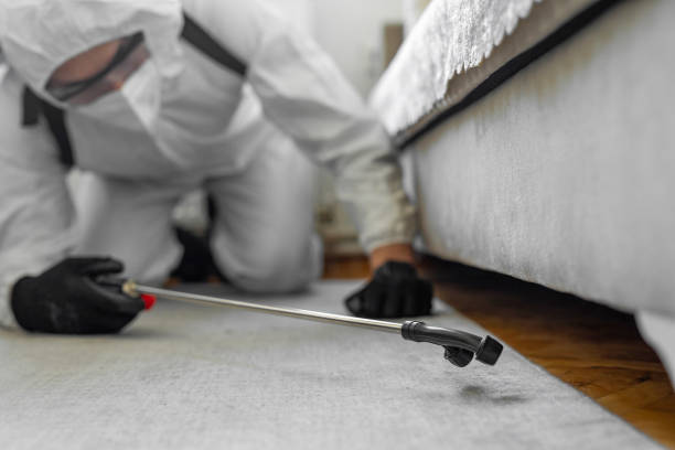 Professional Termite Control technician working in Visalia, CA