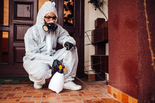 Reliable Termite Control contractor in Visalia, CA by Nex Pest Control