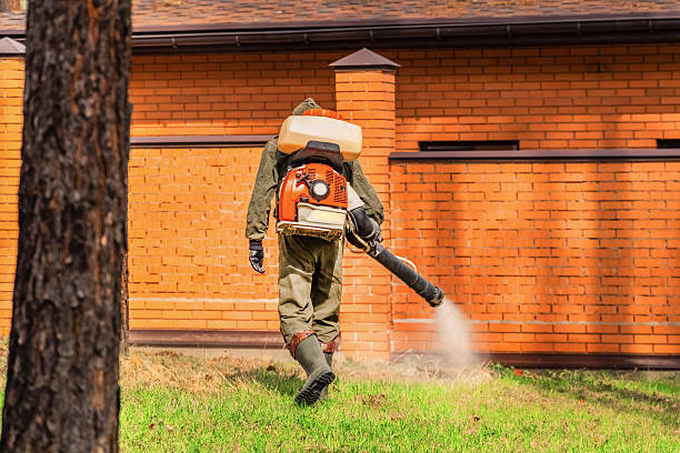 Top rated local Termite Control specialists in Visalia, CA